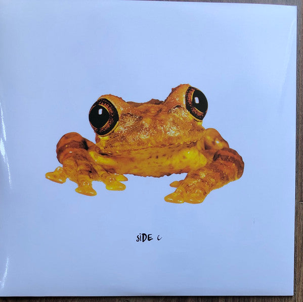 Frogstomp | Mint (M) Mint (M)-The Happy Cap