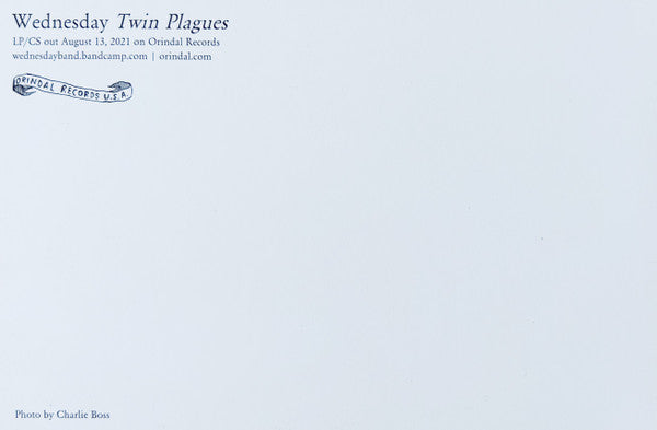 Twin Plagues (VINYL) | Mint (M) Mint (M)-The Happy Cap