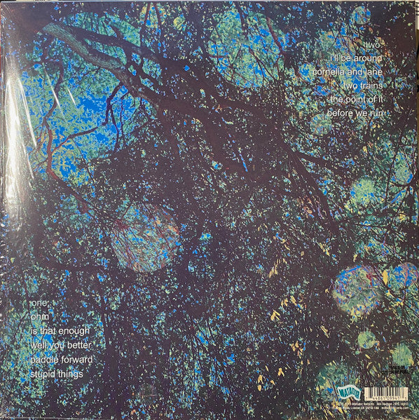 Yo La Tengo - Fade (VINYL) | Mint (M) Mint (M)-The Happy Cap