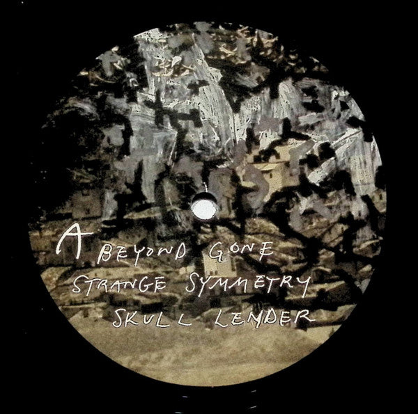 Past Lives - Strange Symmetry (VINYL) | Excellent (EX)-The Happy Cap