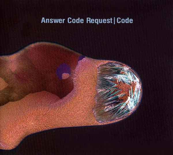 ANSWER CODE REQUEST - Code (CD Ostgut Ton OSTGUTCD31) |-The Happy Cap