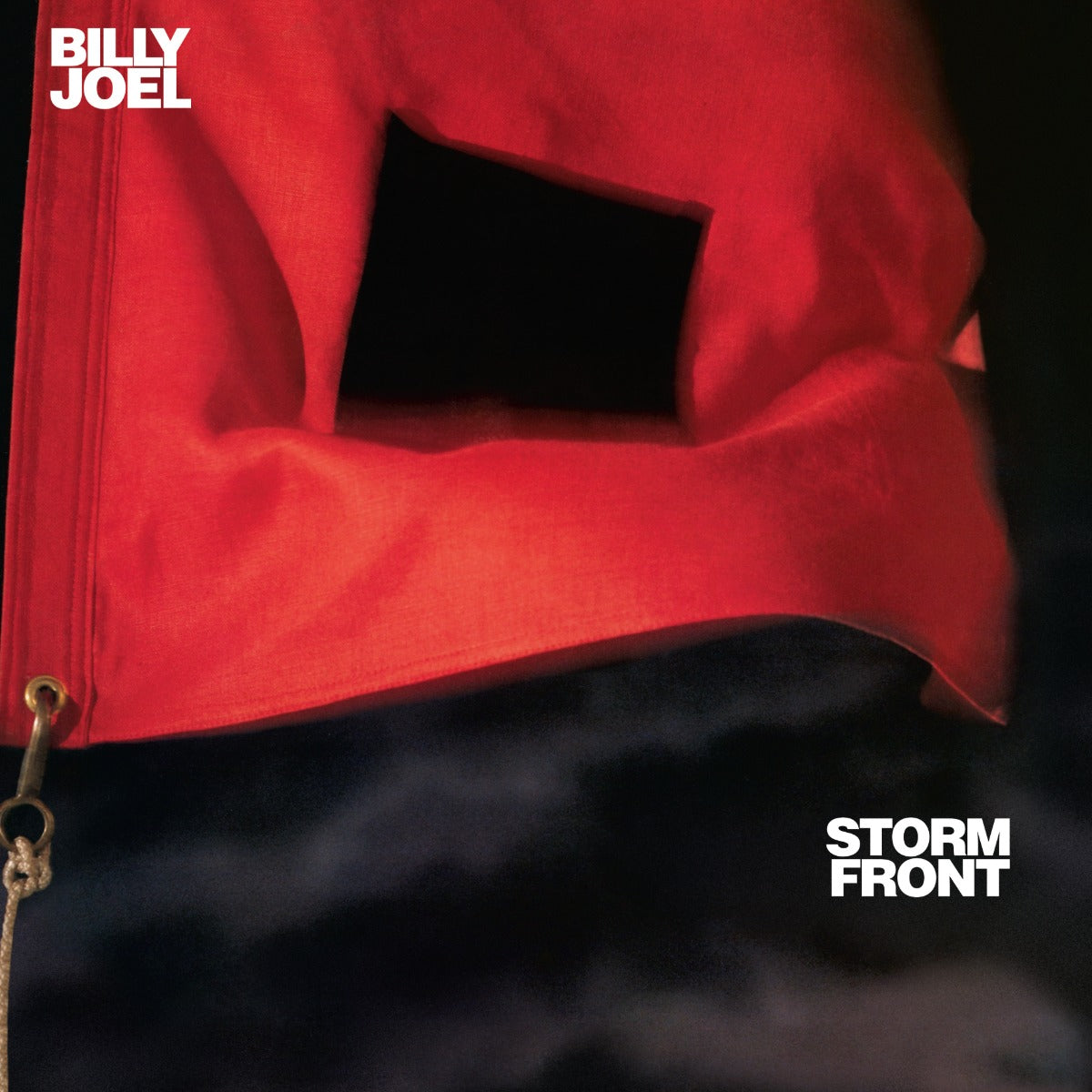 Billy Joel - Storm Front (VINYL) | Mint (M) Mint (M)-The Happy Cap