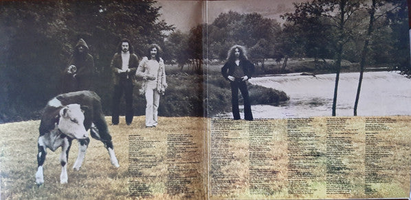 Blonde On Blonde (2) - Reflections On A Life (VINYL) | Mint (M) Mint (M)-The Happy Cap