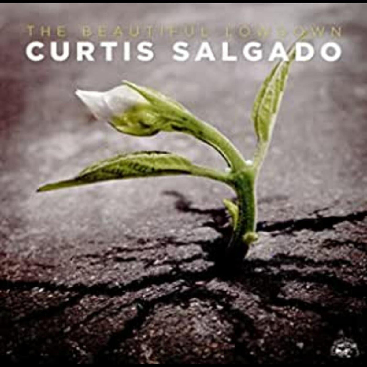 Salgado, Curtis - Beautiful Lowdown (CD) |-The Happy Cap