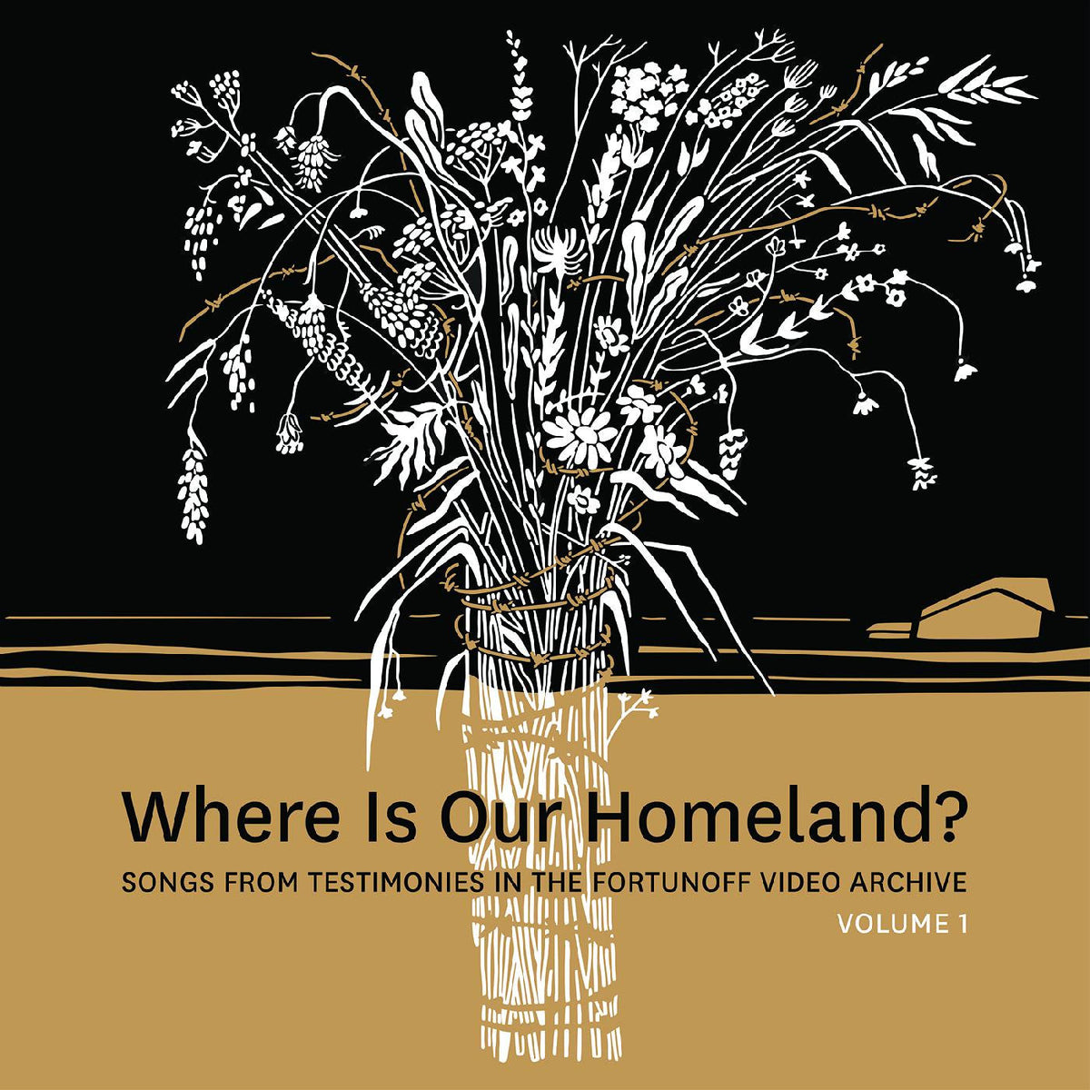 Slepovitch, Zisl & Sasha Lurje - Where Is Our Homeland? Songs From Testimonies in the Fortunoff Video Archive, Vol. 1 |-The Happy Cap