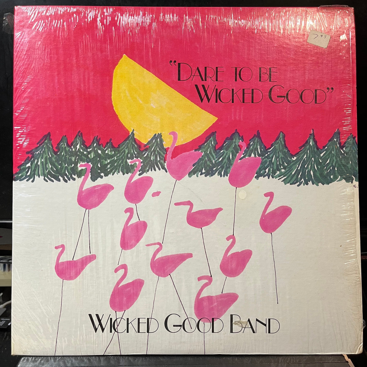 The Wicked Good Band - Dare To Be Wicked Good (VINYL LP WICKED GOOD WGR 1501 1985) | USED Near Mint (NM or M-) Near Mint (NM)-The Happy Cap