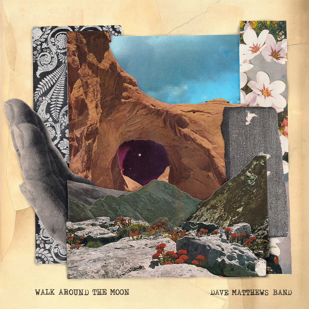 Dave Matthews Band - Walk Around The Moon (Wide Vinyl, Black) | Mint (M) Mint (M)-The Happy Cap