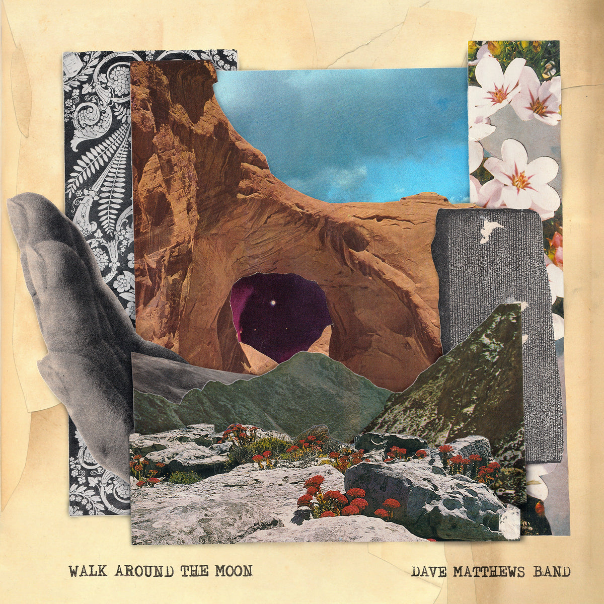 Dave Matthews Band - Walk Around The Moon (Wide Vinyl, Black) | Mint (M) Mint (M)-The Happy Cap