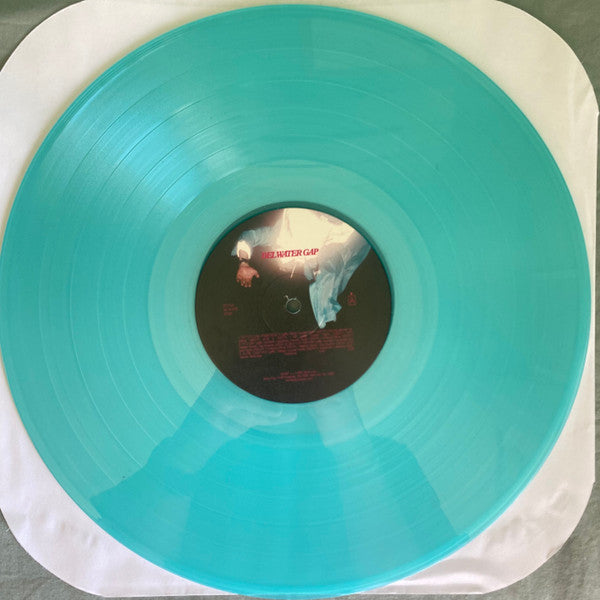 Del Water Gap - Del Water Gap | Mint (M) Mint (M)-The Happy Cap