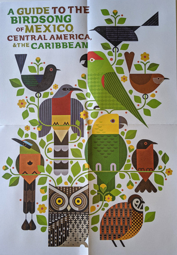 A Guide To The Birdsong Of Mexico, Central America, & The Caribbean | Mint (M) Mint (M)-The Happy Cap