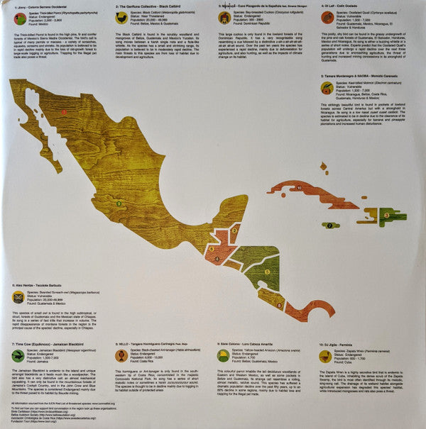 A Guide To The Birdsong Of Mexico, Central America, & The Caribbean | Mint (M) Mint (M)-The Happy Cap