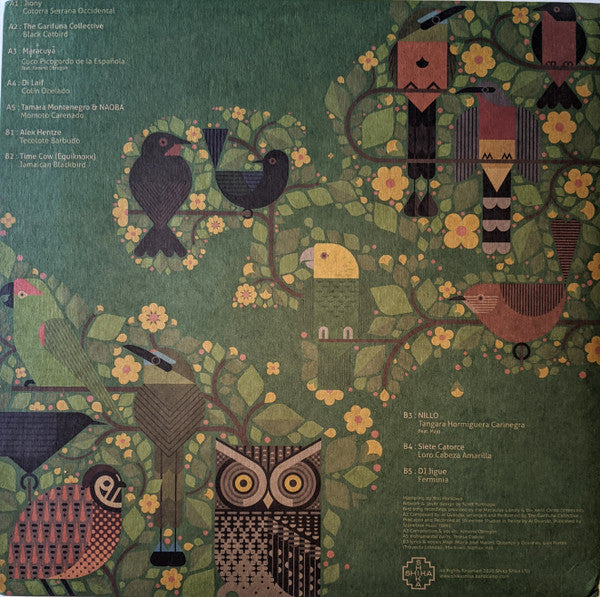 A Guide To The Birdsong Of Mexico, Central America, & The Caribbean | Mint (M) Mint (M)-The Happy Cap