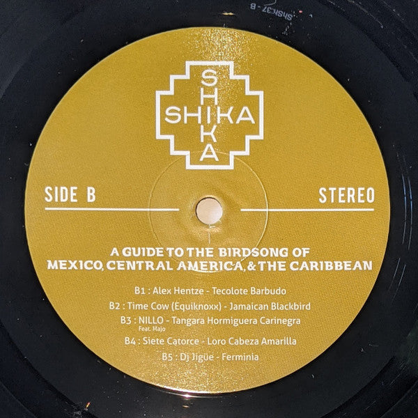 A Guide To The Birdsong Of Mexico, Central America, & The Caribbean | Mint (M) Mint (M)-The Happy Cap