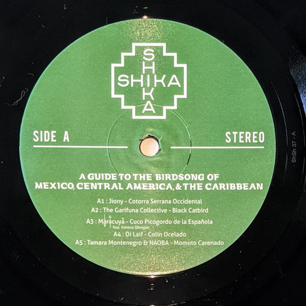 A Guide To The Birdsong Of Mexico, Central America, & The Caribbean | Mint (M) Mint (M)-The Happy Cap