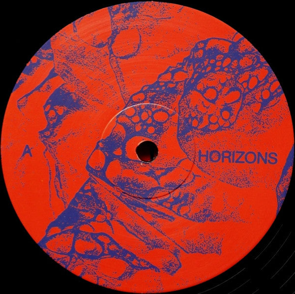 Horizons | Mint (M) Mint (M)-The Happy Cap
