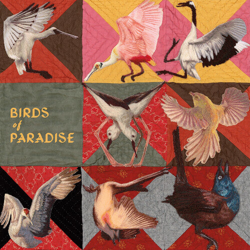 Thomas Dollbaum - Birds of Paradise (PINK VINYL) | Mint (M) Mint (M)-The Happy Cap