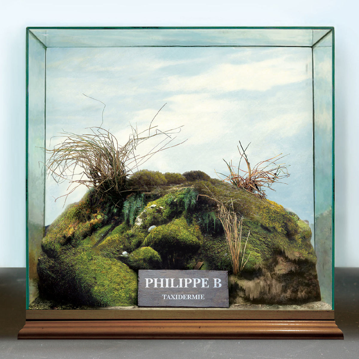 Philippe B - Taxidermie (CD) |-The Happy Cap