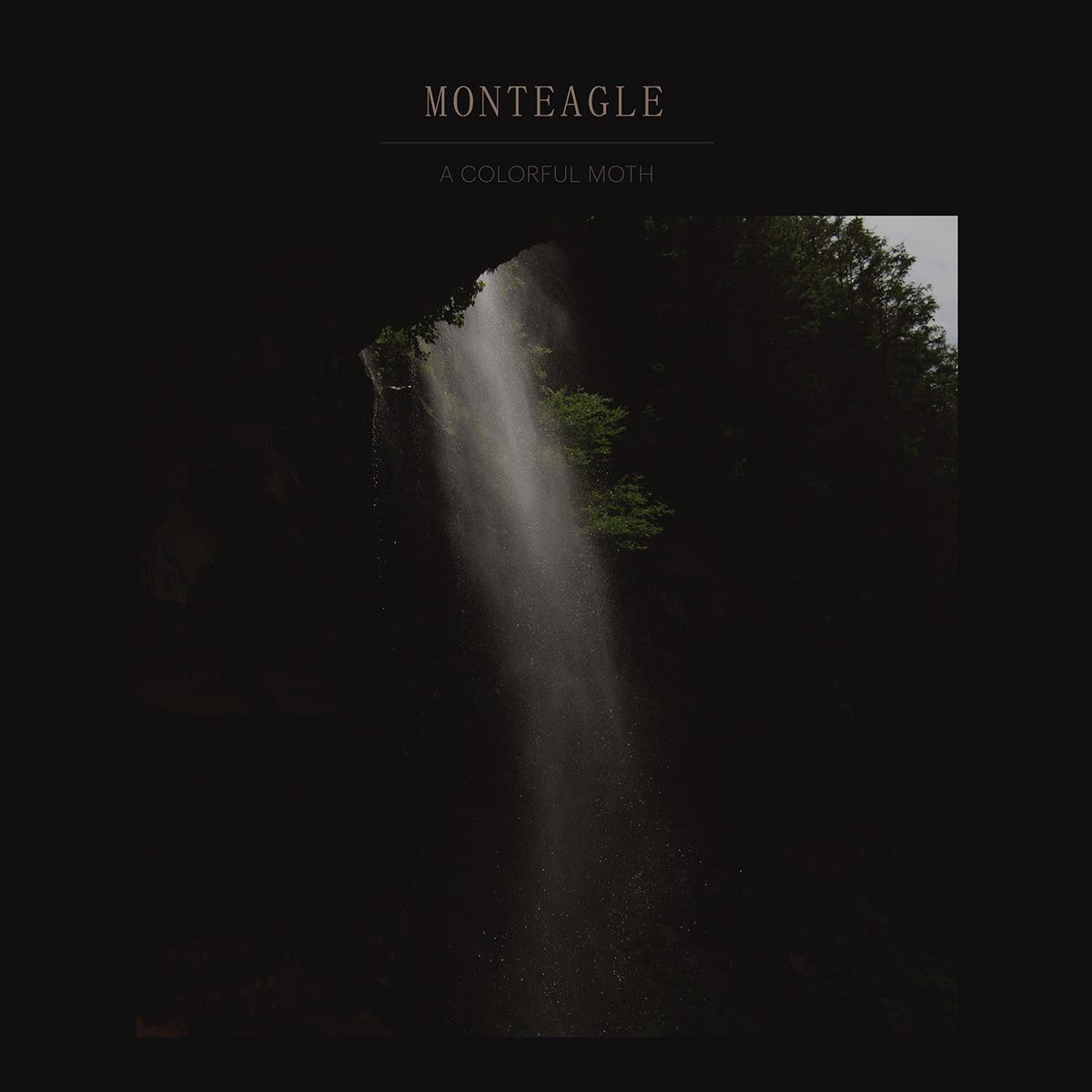 Monteagle - A Colorful Moth |-The Happy Cap