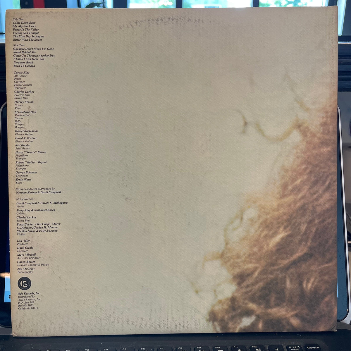Carole King - Rhymes & Reasons | Near Mint (NM) Near Mint (NM)-The Happy Cap
