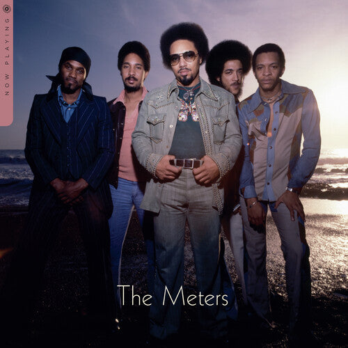 Meters, The - Now Playing (VINYL) |-The Happy Cap