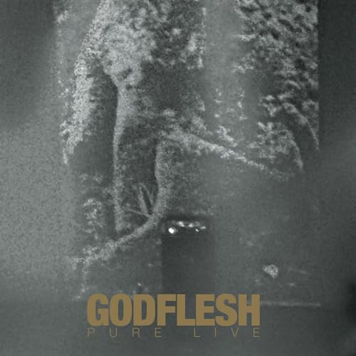 Godflesh - Pure: Live (Gold W/ Gold And White Splatter Vinyl) |-The Happy Cap