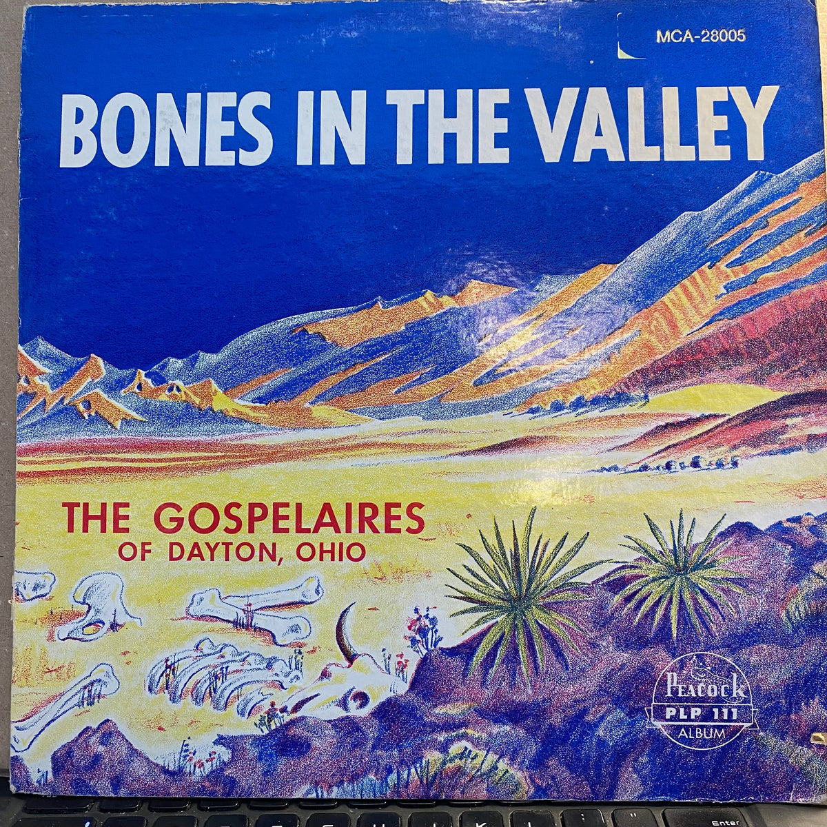 The Gospelaires - Bones In The Valley | Excellent (EX) Very Good (VG)-The Happy Cap
