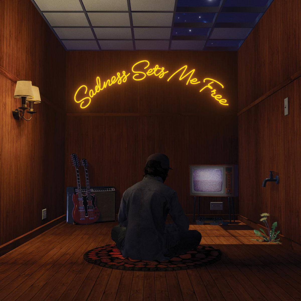 Gruff Rhys - Sadness Sets Me Free (CD) | Mint (M) Mint (M)-The Happy Cap