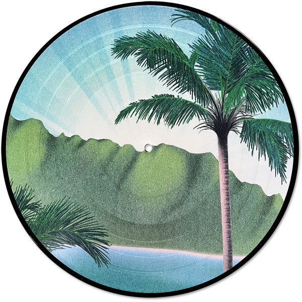 Flamingosis - Daymaker (PICTURE VINYL) | Mint (M) Mint (M)-The Happy Cap