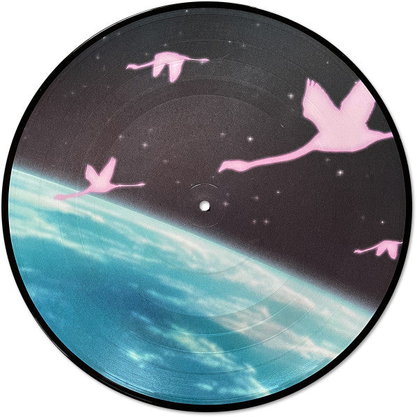 Flamingosis - Daymaker (PICTURE VINYL) | Mint (M) Mint (M)-The Happy Cap