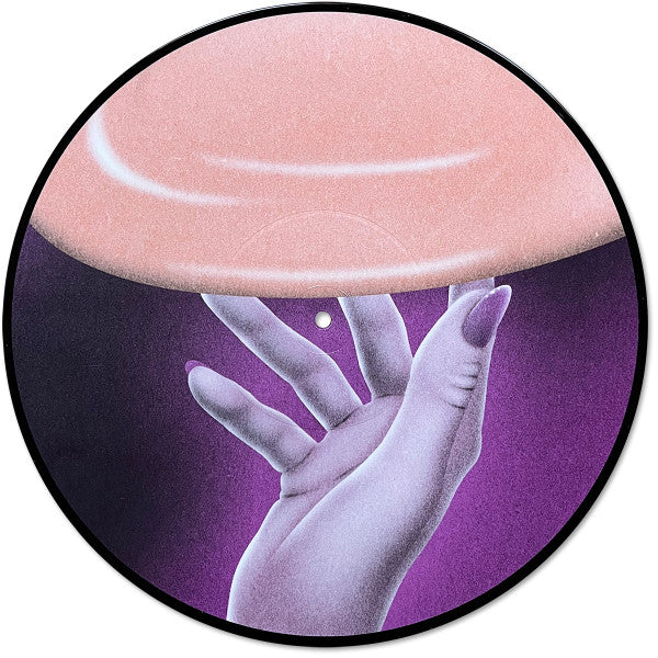 Flamingosis - Daymaker (PICTURE VINYL) | Mint (M) Mint (M)-The Happy Cap