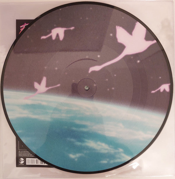 Flamingosis - Daymaker (PICTURE VINYL) | Mint (M) Mint (M)-The Happy Cap