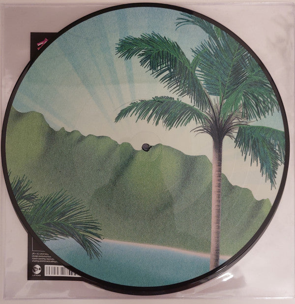 Flamingosis - Daymaker (PICTURE VINYL) | Mint (M) Mint (M)-The Happy Cap