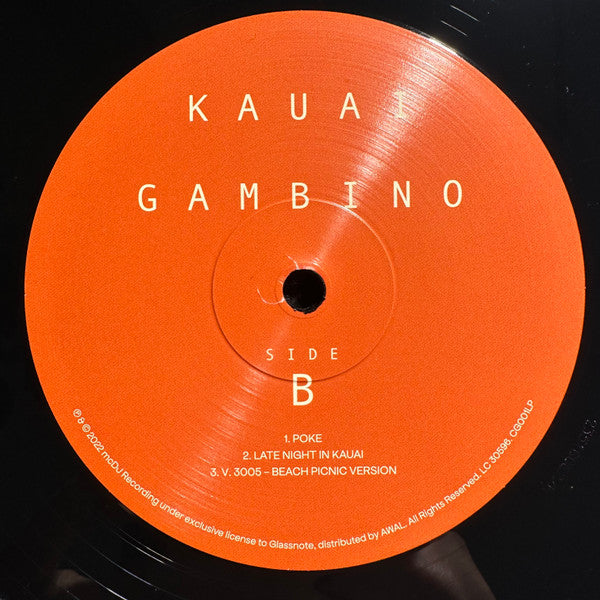 Childish Gambino - Kauai | Mint (M) Mint (M)-The Happy Cap