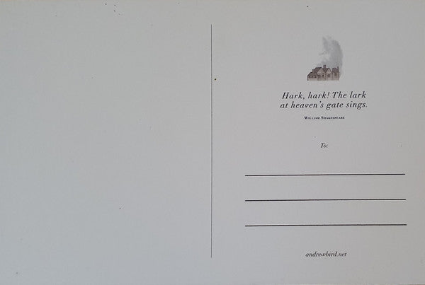 Andrew Bird - Hark! (RED VINYL) | Mint (M) Mint (M)-The Happy Cap