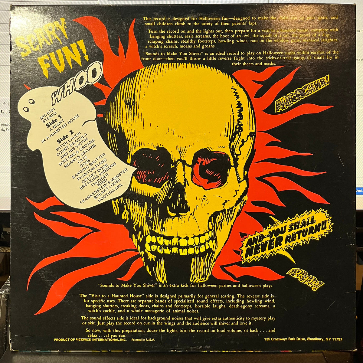No Artist - Sounds To Make You Shiver (VINYL) | Near Mint- (NM-) Near Mint- (NM-)-The Happy Cap