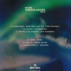 Various - Various Moods Vol. 5 (VINYL) | Mint (M) Mint (M)-The Happy Cap