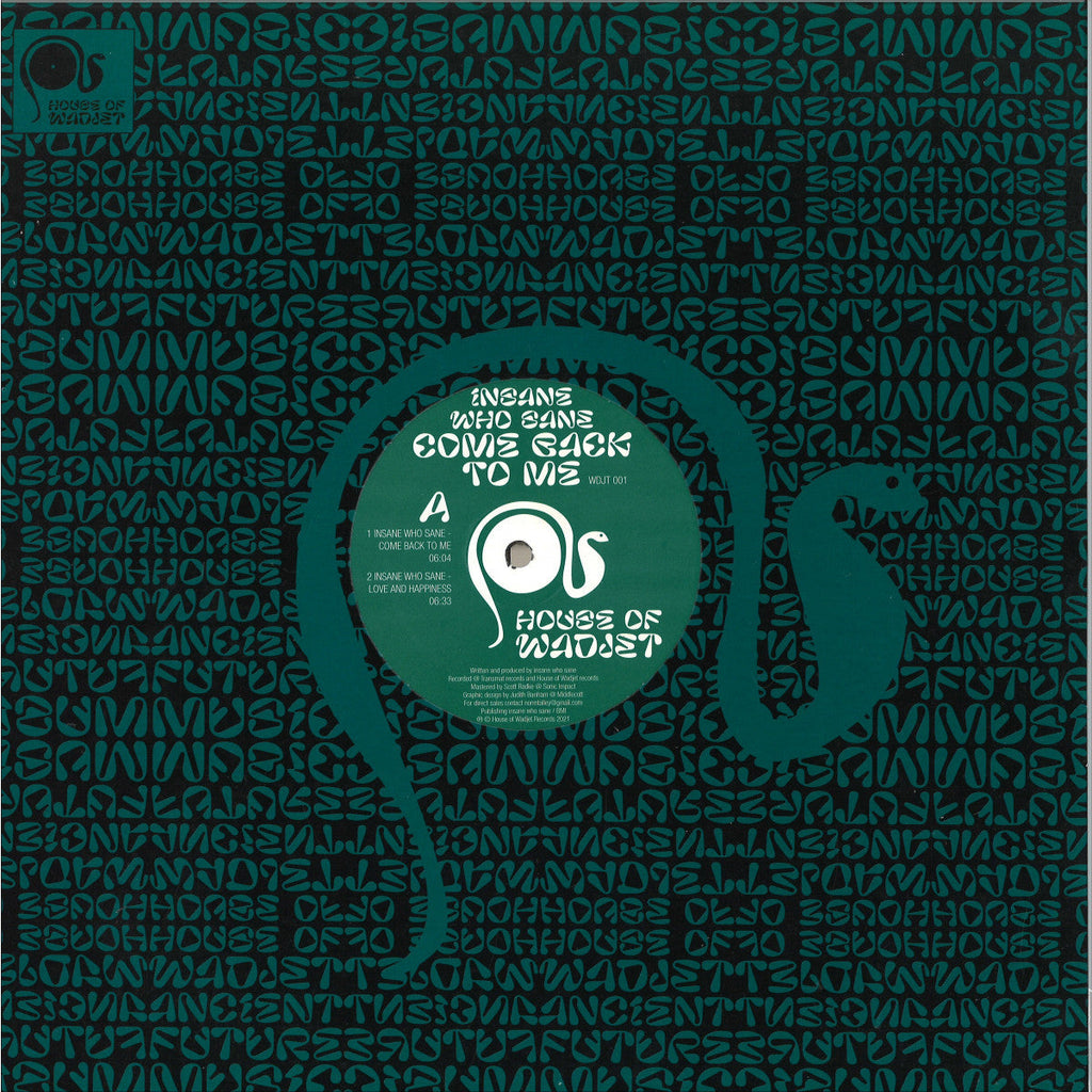 Insane Who Sane - (PRESALE TBD) Come Back To Me (VINYL 12" House Of Wadjet WDJT001 2026) | NEW-The Happy Cap