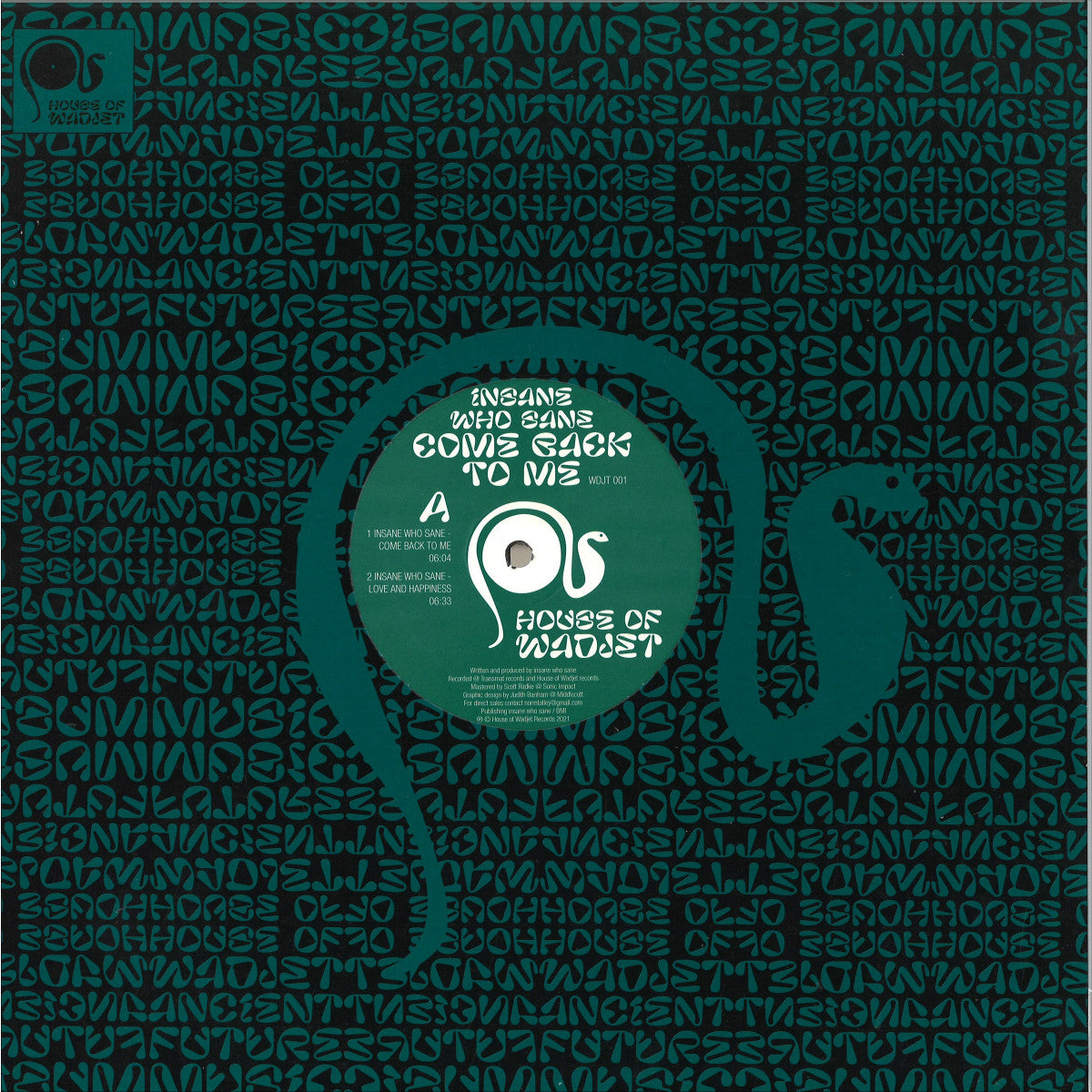 Insane Who Sane - (PRESALE TBD) Come Back To Me (VINYL 12" House Of Wadjet WDJT001 2026) | NEW-The Happy Cap