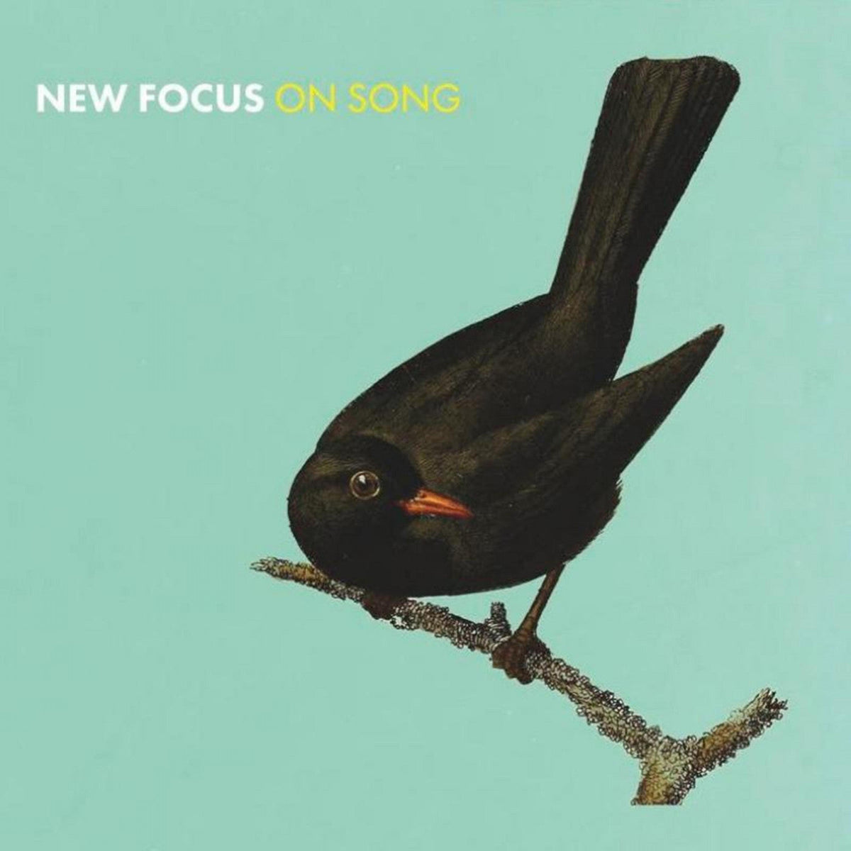 Stevenson, Euan & Wiszniewski, Konrad - New Focus On Song (CD) | Mint (M) Mint (M)-The Happy Cap