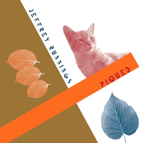 Jeffrey Runnings - Piqued (LP+12" VINYL) | Mint (M) Mint (M)-The Happy Cap