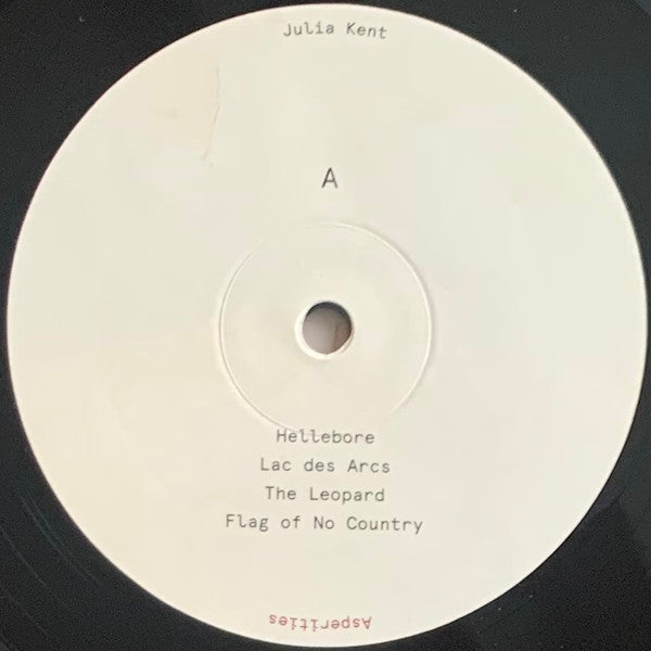 Julia Kent - Asperities | Mint (M) Mint (M)-The Happy Cap