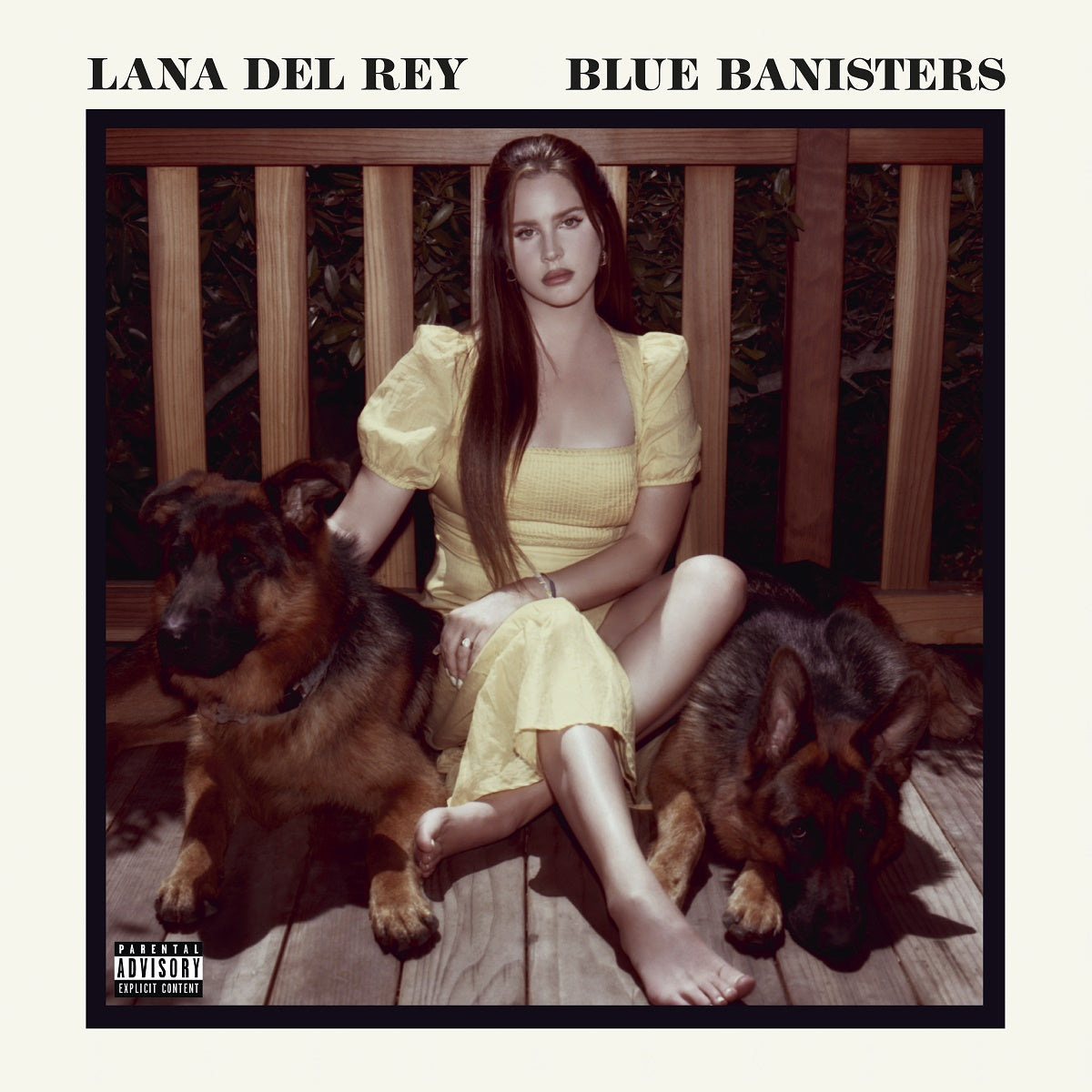 Lana Del Rey - Blue Banisters (CD) | Mint (M) Mint (M)-The Happy Cap