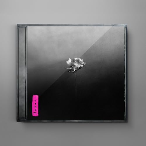 Little Simz - Lotus |-The Happy Cap