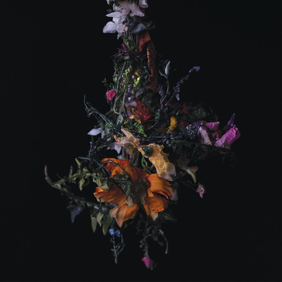 BIG|BRAVE - nature morte (CD) |-The Happy Cap
