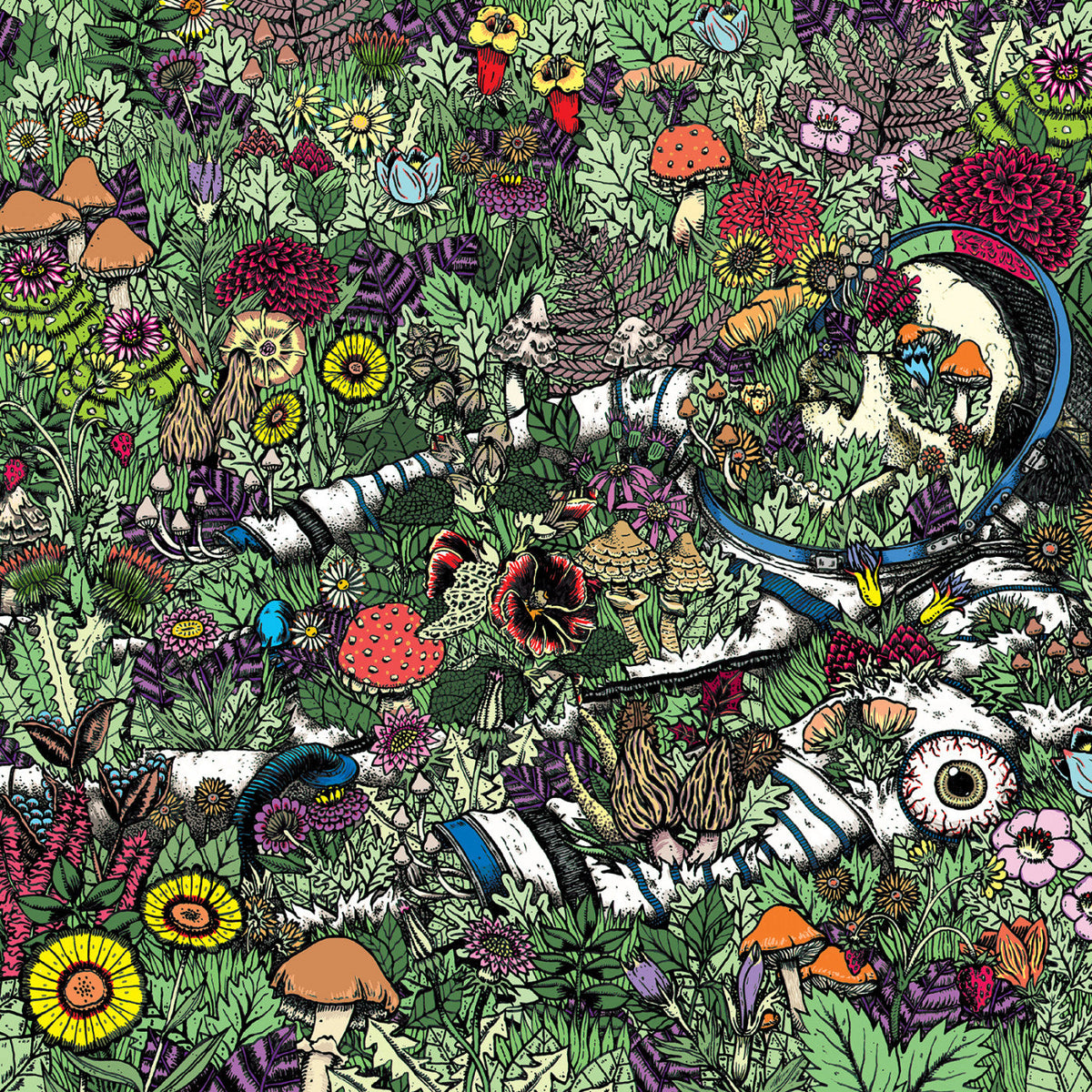 Oozing Wound - Whatever Forever (CD) | Mint (M) Mint (M)-The Happy Cap