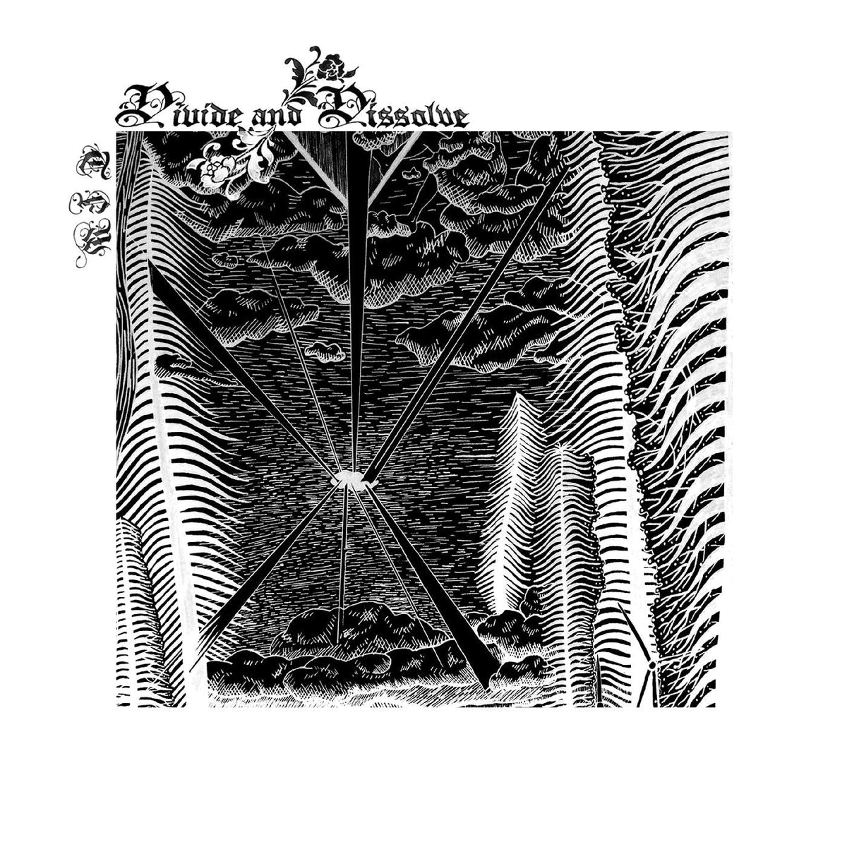 Divide and Dissolve - TFW (Vinyl) |-The Happy Cap