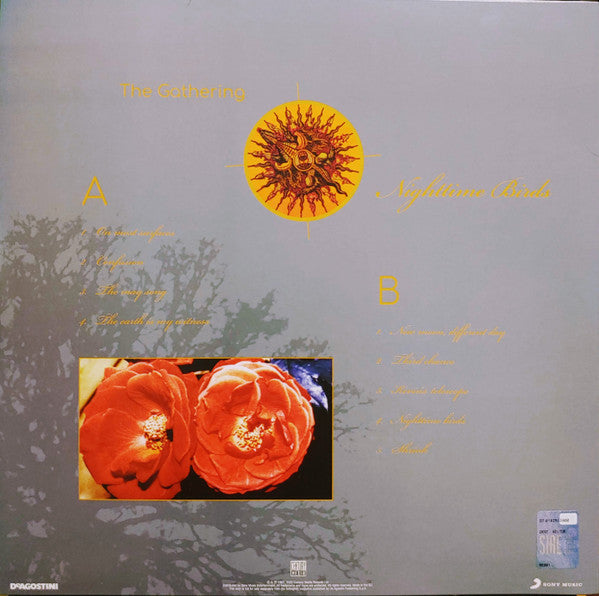 Nighttime Birds (VINYL) |-The Happy Cap