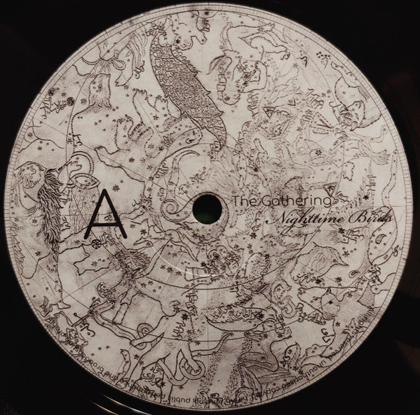 Nighttime Birds (VINYL) |-The Happy Cap