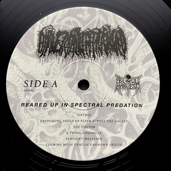 Universally Estranged - Reared Up in Spectral Predation (VINYL) | Near Mint+ (NM+) Mint (M)-The Happy Cap