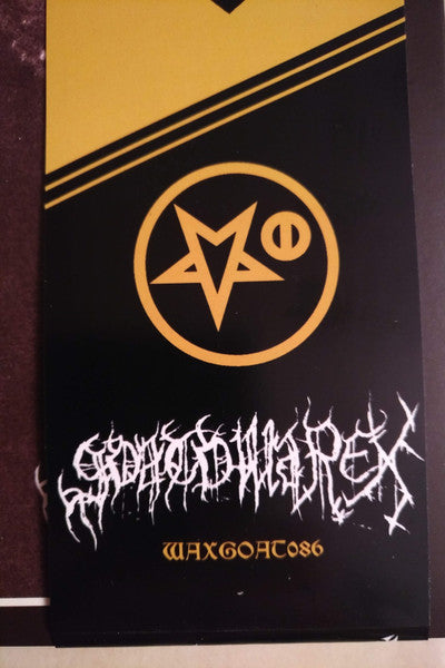 Carelian Satanist Madness (Instrumental Raw Mix) (*NO OBI* VINYL) | Near Mint (NM) Near Mint (NM)-The Happy Cap